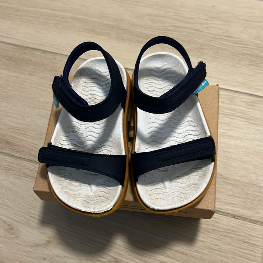 Native Shoes Charley toddler size 6 Regatta Blue